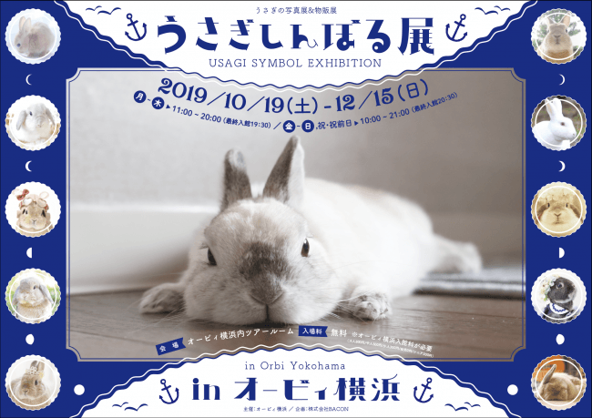 うさぎしんぼる展