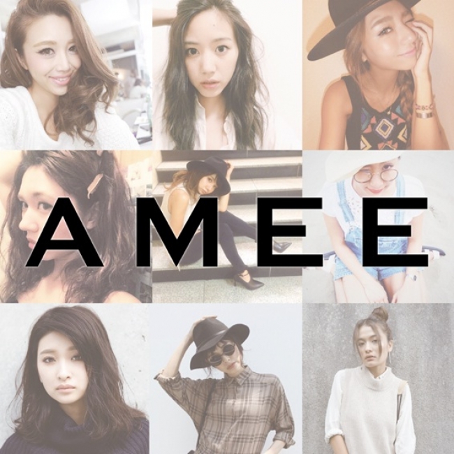 URL www.amee.jp