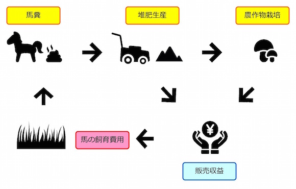 馬糞堆肥を活用した引退馬飼育の流れ