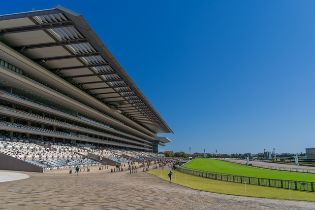 東京競馬場　スタンド