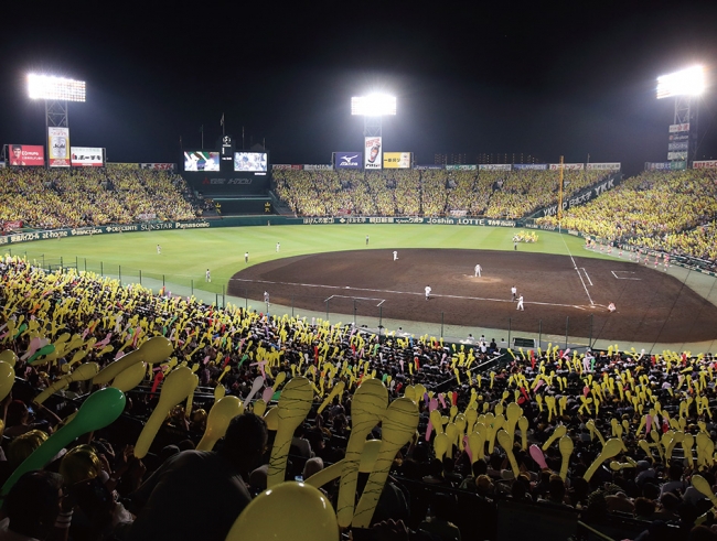 表見返しには阪神甲子園球場の写真を全面掲載