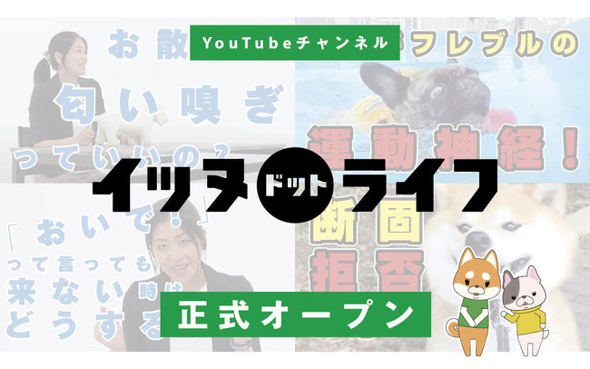 YouTubeチャンネル『イッヌドットライフ』