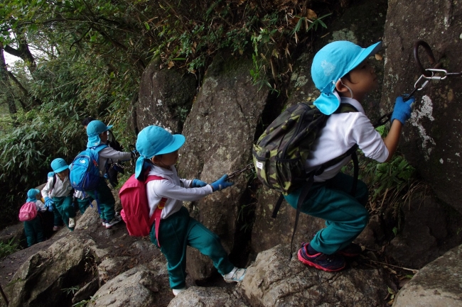 ▲登山中の園児達　　