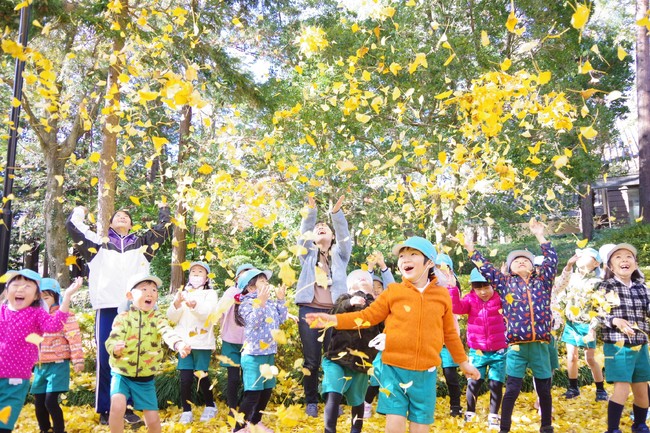 ▲学園内は落ち葉が沢山