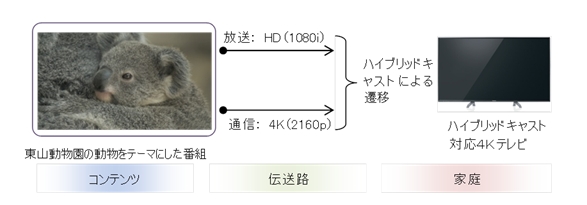 ハイブリッドキャストによる4K伝送