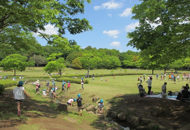 21世紀の森と広場 園内の様子