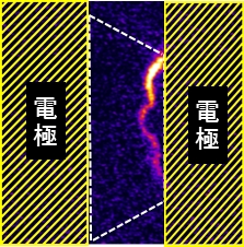 走査ゲート顕微観察により得られたトランジスター応答像。