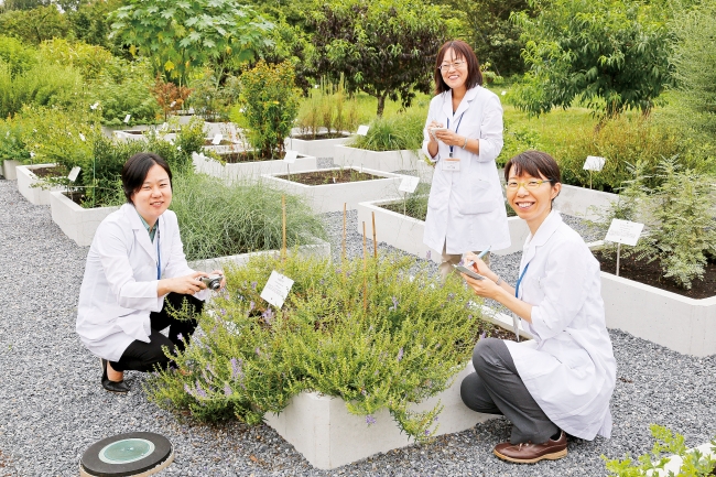 300種類以上がある薬草園