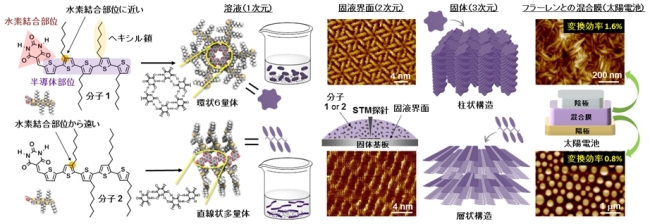 ２種の化合物の自己組織化の概略図。左から右に向けて自己組織化の階層が上がる