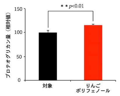 図３：プロテオグリカン量の変化