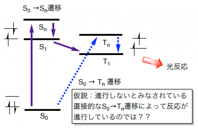 図3 重原子含有分子における光反応のエネルギー遷移についての仮説