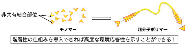 図2　人工系超分子ポリマーの形成の模式図