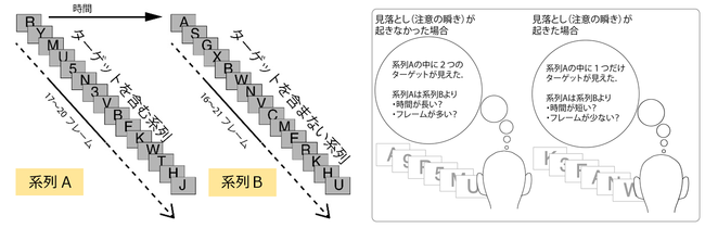 図１：実験の流れ。実験参加者は、アルファベットもしくは数字が画面に約0.1秒ずつ連続で表示されるフレーム（視覚刺激）を見て、見つけた数字（ターゲット）を答える。