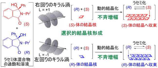 図3　キラル渦光を用いたラセミ体イソインドリノンの結晶化誘起動的光学分割法（（R)-体と（S)-体は互いに鏡像異性体の関係にある）