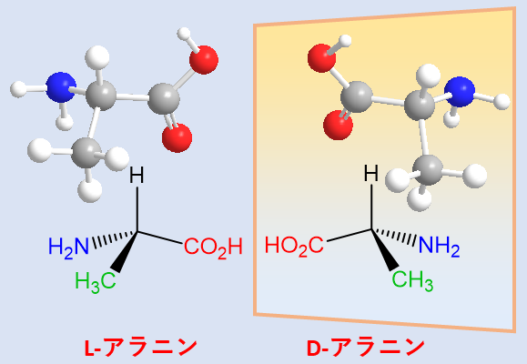 図1　鏡像異性体の例。同じ形だが重ね合わせることができないことから、「右手と左手の関係」に例えることができる