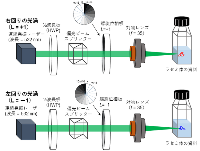 図2　過飽和溶液へのキラル渦光照射装置