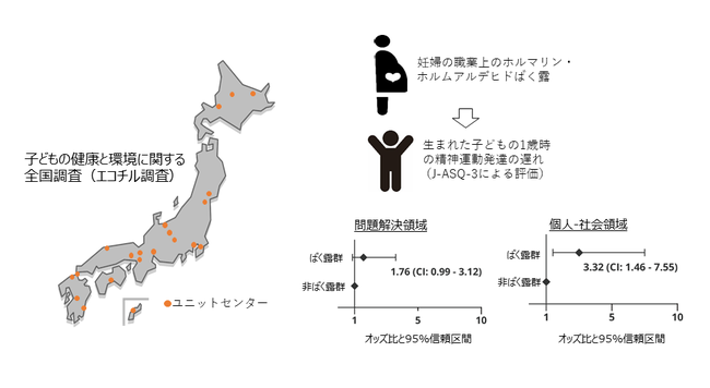  妊婦のホルムアルデヒドばく露と生まれた子どもの1歳時の精神運動発達の関係。