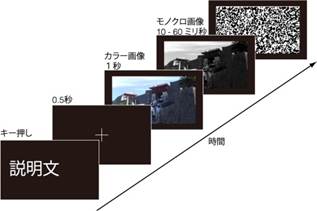 視覚の時間精度を計る実験