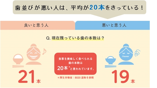 （※1）厚生労働省 「8020運動」を参照