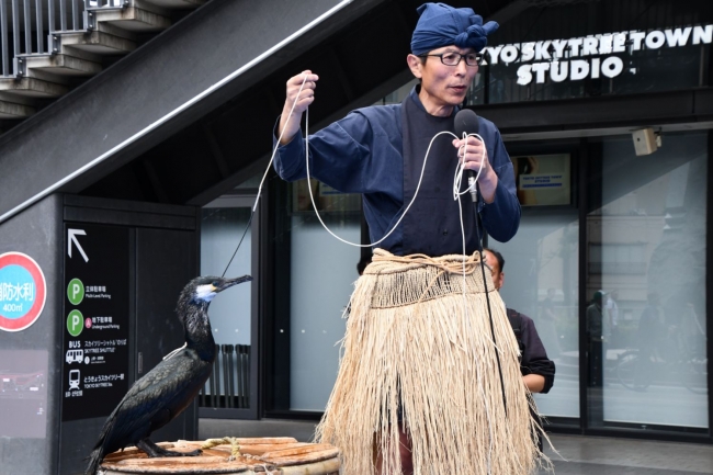 小瀬鵜飼実演ショー 「ユカイなウカイショー」の様子