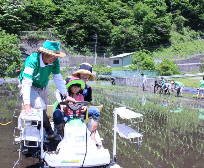 田植え体験会の様子