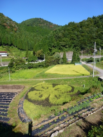 ネオナチュラル母袋有機農場