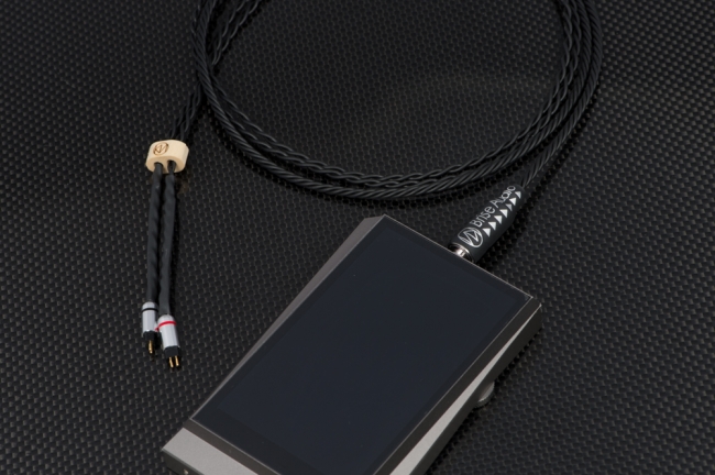 Astell&Kern AK320との使用例(2.5mmバランス接続)。