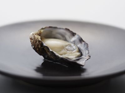 「くにさきOYSTER」