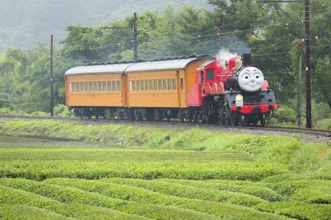 ジェームス号。今年も元気いっぱいに運転。トーマス号よりも運転本数が少ないのでご注意を。