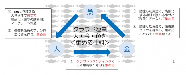 新たな漁業モデル「クラウド漁業」