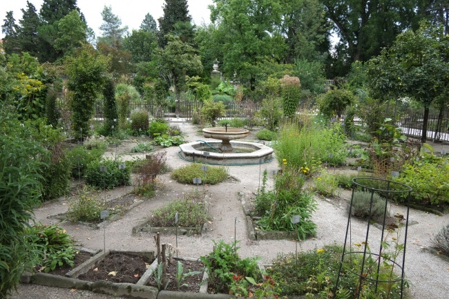 パドヴァの植物園