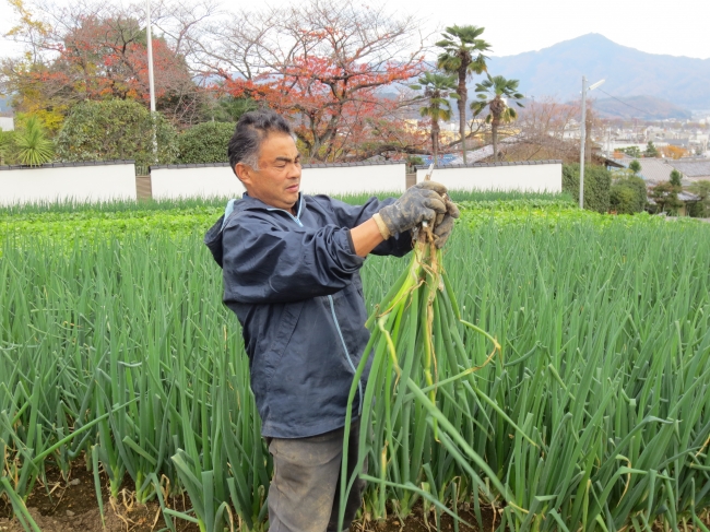 樋口農園14代目 樋口 昌孝氏