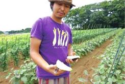 採りたて野菜でパスタ！野菜畑収穫体験