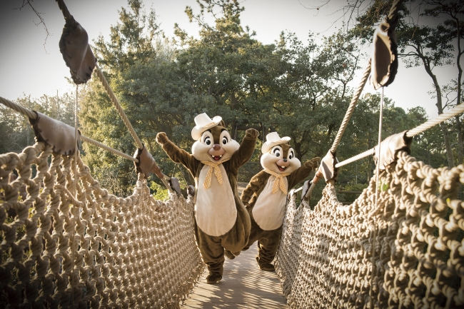 撮影・東京ディズニーリゾートフォトグラファー