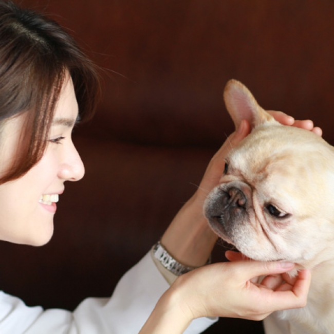 French Bulldog Deliは獣医師の監修で開発