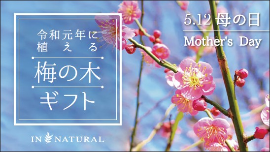 【購入方法】　特設サイト：IN NATURAL WEB STORE