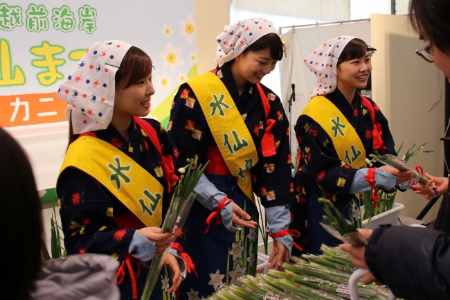 水仙娘による水仙配布の様子