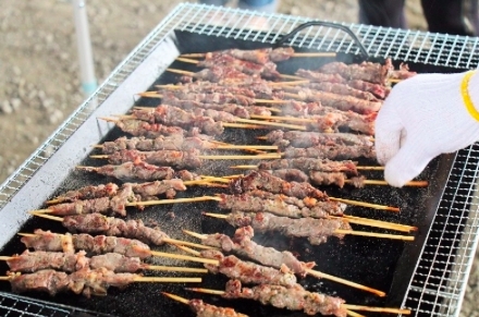 焼き鳥じゃないよ、珍肉くしだよ