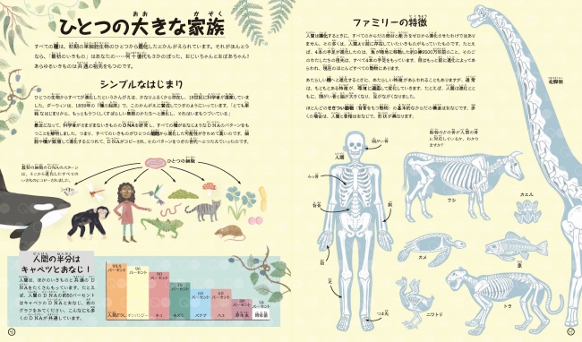 サンプル