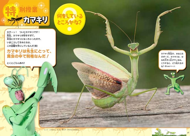 特別授業「カマキリ」