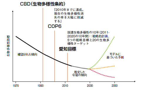 図2　生物多様性の損失を表す予想図。今後の積極的な取り組み次第で、下降線を上昇線に変えることができる可能性を示す。