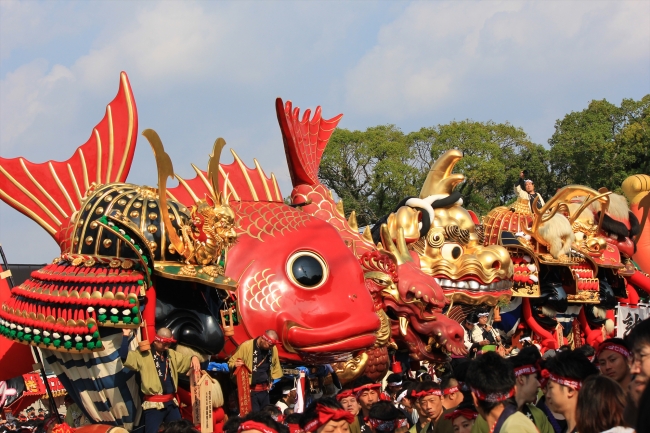 毎年11月開催の唐津神社秋季例大祭「唐津くんち」。 14台の勇壮華麗な曳山が目を惹きつけます。