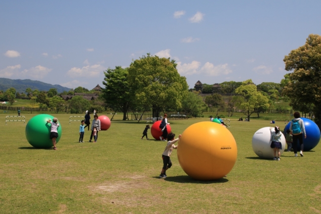 無料貸し出しのビッグボール