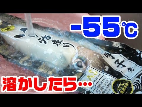 「釣りいろは」調達編