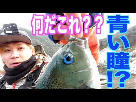 「釣りよかでしょう。」調達編