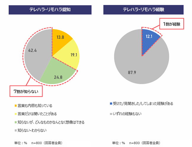 テレハラ・リモハラの認知と経験