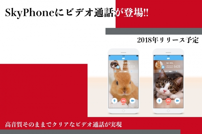 SkyPhoneに「ビデオ通話」が登場