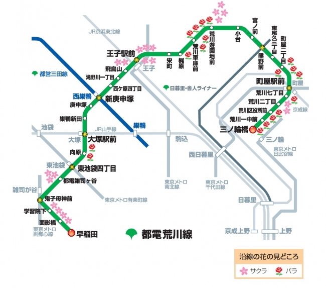 ホテル周辺の散策情報