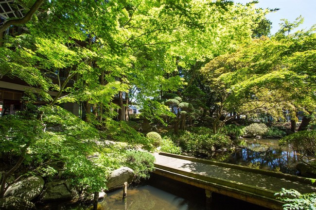 新緑が眩しい松岡庭園