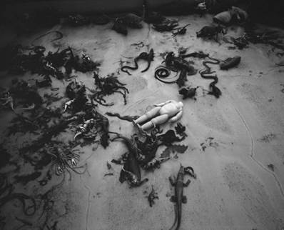 Nobuyoshi Araki, Tombeau Tokyo, 2016, gelatin silver print © Nobuyoshi Araki  Courtesy of Taka Ishii Gallery